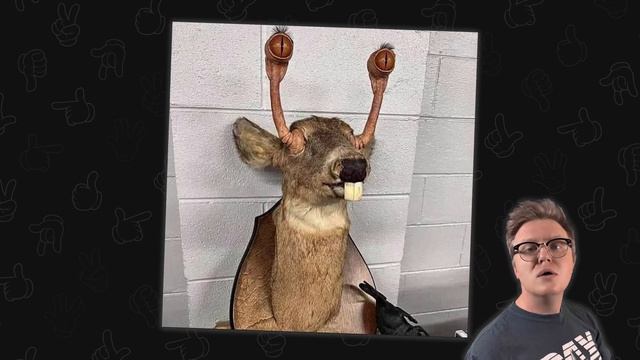 questionable images смотреть онлайн