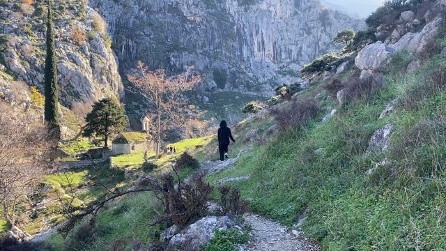 Вкусные Супы