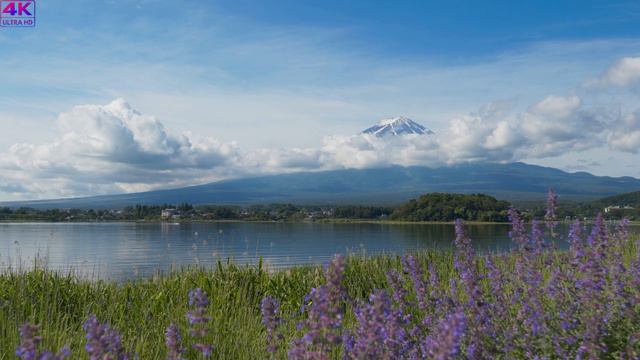 Легенда о Горе Фудзи 4K 2023