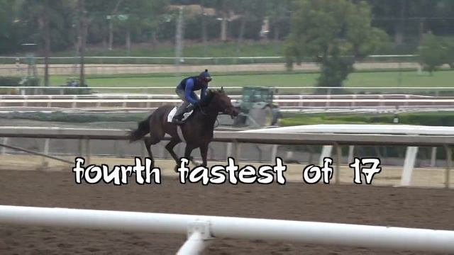 Evening Sonnet preps for July 31 at Del Mar смотреть онлайн