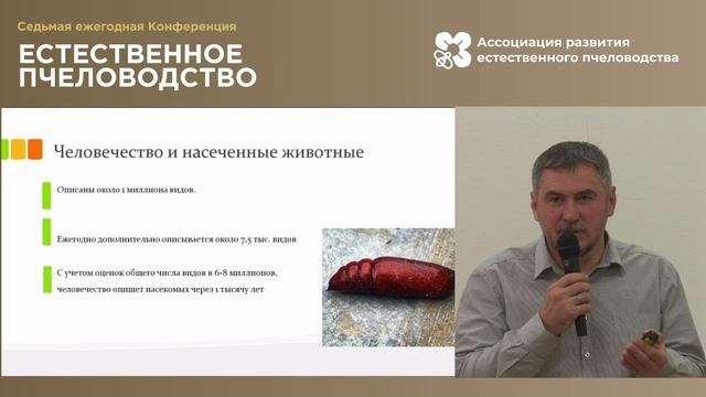 Зачем нужны насекомые на своей земле?! Пчёлы как часть сообщества. Георгий Афанасьев (Лесные сады). смотреть онлайн