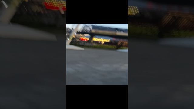 Жук усач и котик🪲🐈