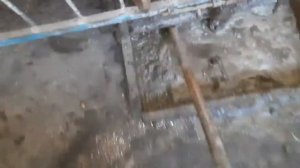 Без Лопаты и Соломы! Сарай, навозоудаление! Откорм свиней. Свиноводство.