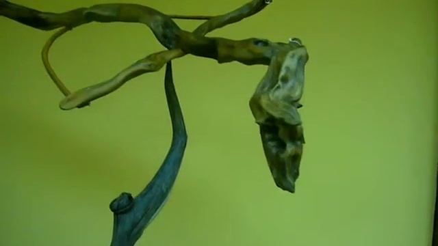 EQUILIBRIO.... BALANCE... смотреть онлайн