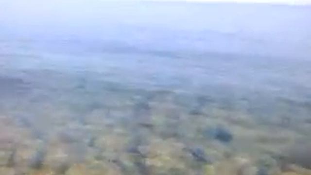самое спокойное Чёрное море которое я видел смотреть онлайн