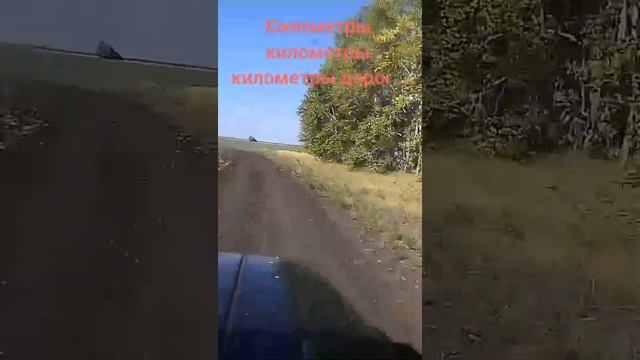 сезон 2021, начало. смотреть онлайн