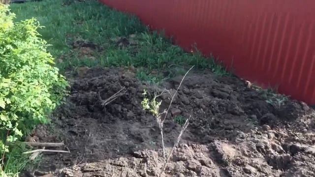 Как Это Делается