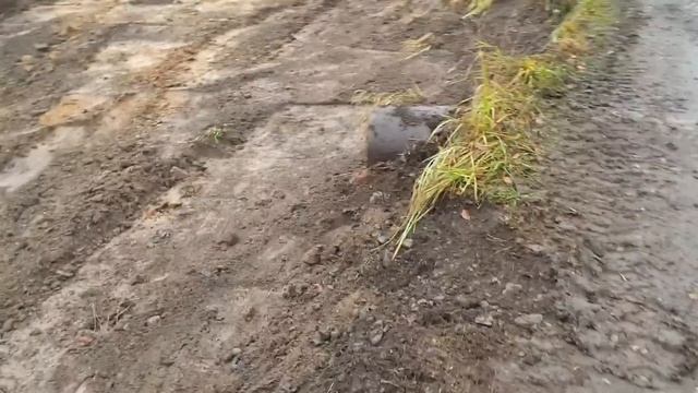 Ремонт деревенских дорог и обитатели Совиного Дола. смотреть онлайн