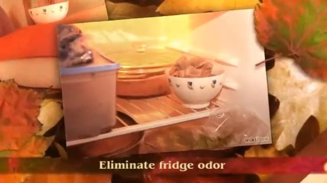 How to Use Leftover Green Tea Leaves смотреть онлайн