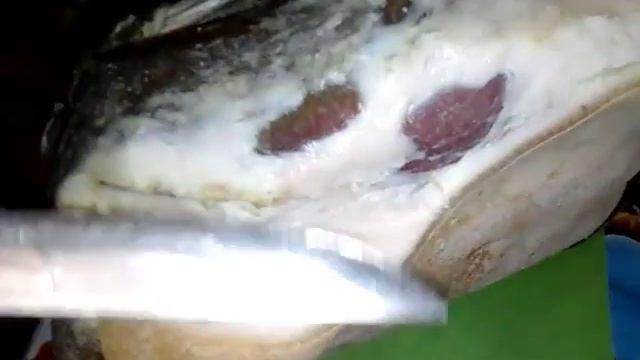 Шинка.Окорок.Часть 2 смотреть онлайн