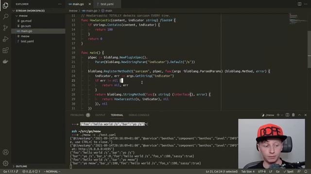 Writing Benthos Plugins смотреть онлайн