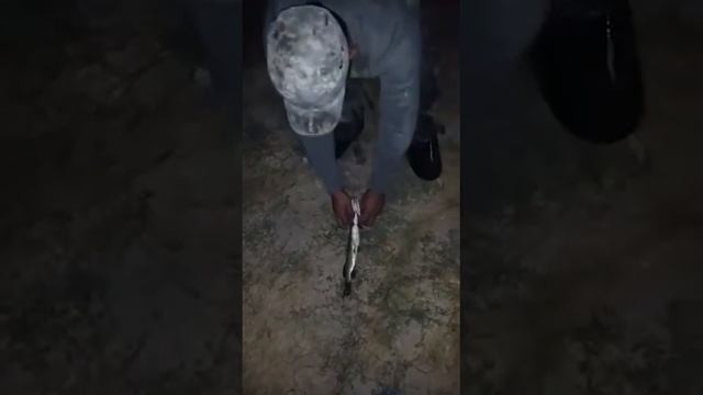 Очень большая щука смотреть онлайн