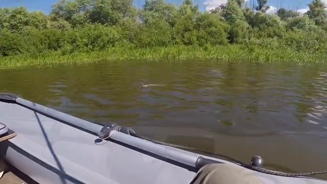 Один день на Оке (11.07.2017) смотреть онлайн