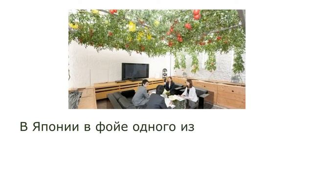 Сити-фермерство - что это? смотреть онлайн