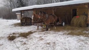 Конная повозка с плоской платформой