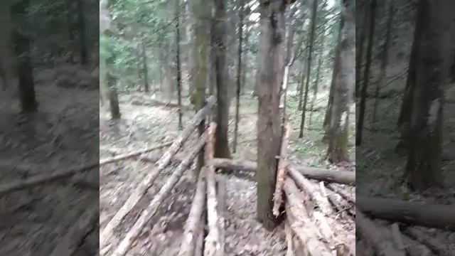 Ловушка на медведя. смотреть онлайн