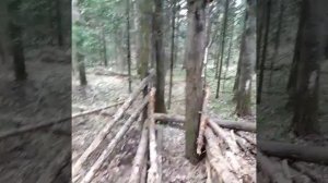Ловушка на медведя.
