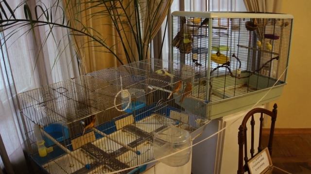 Полотняный Завод, Калужская область смотреть онлайн