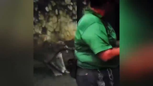 🥶 Coldest Moments Tiktok Compilation 🥶 Sigma Tiktoks 🥶 смотреть онлайн