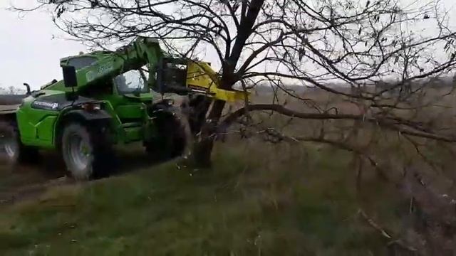 Корчеватель Щипцы смотреть онлайн