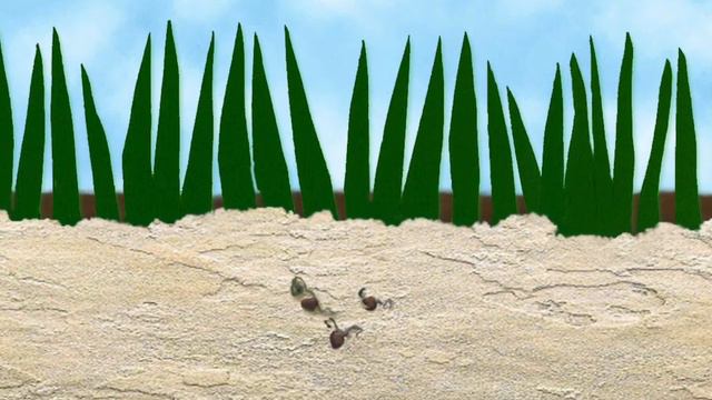 The Sower | GCED | Song смотреть онлайн