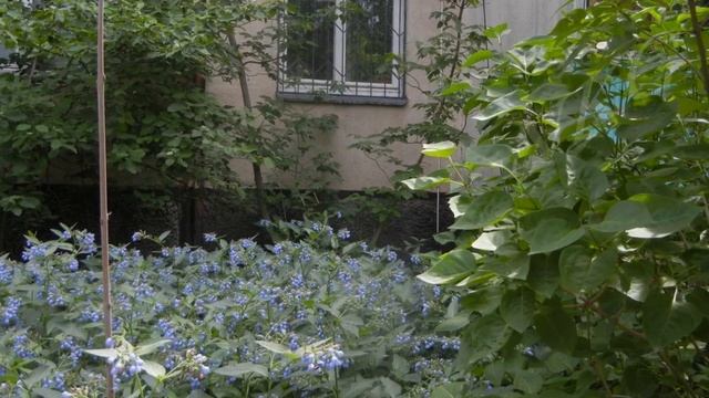 121. Киргизия. Кусочек Родины. Май. Часть III. Бишкек 2020 - Фрунзе Советский. смотреть онлайн