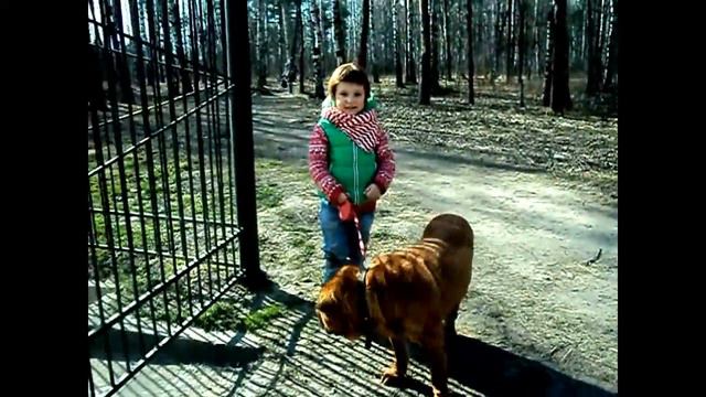 Randie смотреть онлайн