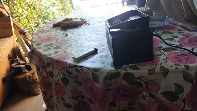 Измир Озбас  Дегустация