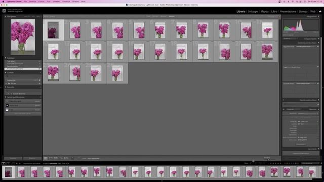 Lezione 1 | Corso base di Lightroom | Programma e interfaccia смотреть онлайн