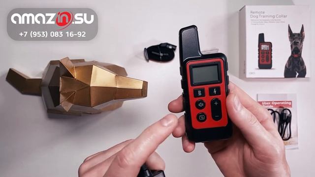 Обзор электронного ошейника PET300 для собак | Amazin.Su