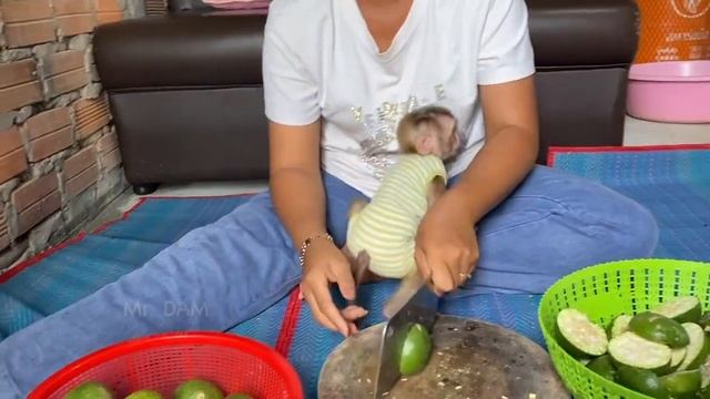 So Sweet Dam Pinch Grandma's Hand To Ask Some Food For Eat смотреть онлайн