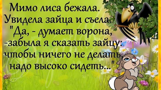 АНЕКДОТЫ! "..отобрали у Зайца права.." ЮМОР для хорошего настроения! смотреть онлайн