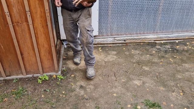 Узбекские бойные голуби Германии Георгия и Евгения 28.10.2023 смотреть онлайн