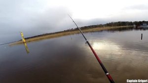 Весенняя плотва начинает поклевывать , рыбалка на Ладоге