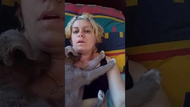 Бузова тоже музыка котенок кошки собаки дворняжка жесть популярно смотреть онлайн