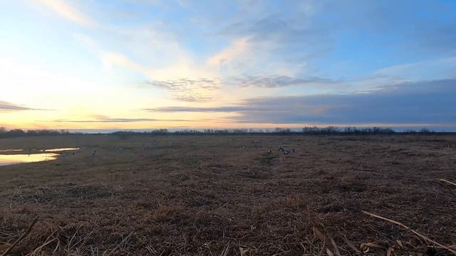 Охота на гуся 2023.Ни дня без гуся ч.1 смотреть онлайн