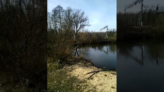 Думиничи.Станционный пруд. 13.04.2015 смотреть онлайн
