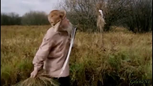 Глухомань, стихи Игоря Царева, муз. Г Дмитриевой, исп. А Кокориной. смотреть онлайн