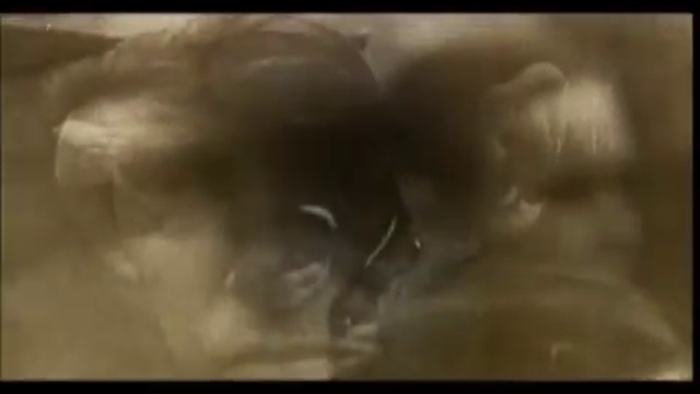 Разоблачение- «Последнее средство». ТМ смотреть онлайн