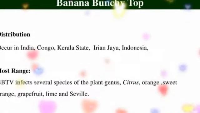 #Viral #diseases #of #plants. #viral infection in plants смотреть онлайн