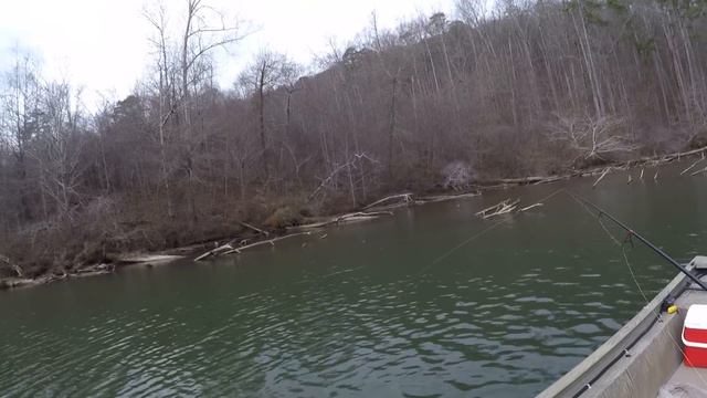 This Slip Bobber & Live Minnow Setup Catches Giant Crappie! смотреть онлайн