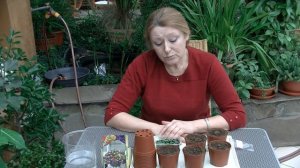 Как сажать гранулированные семена