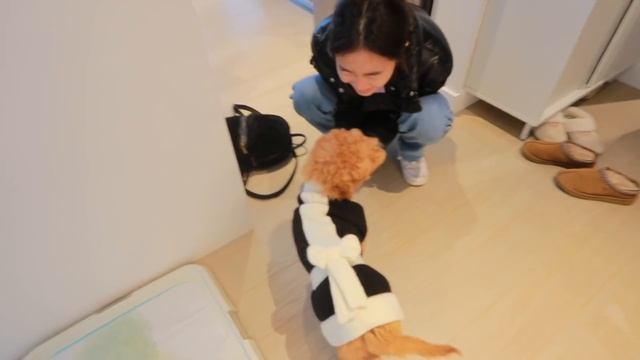 Home Alone| I GOT A PUPPY, what I got for Christmas, exchanging gifts! смотреть онлайн