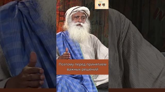 Как принимать решения, которые важны для вашей жизни_ смотреть онлайн