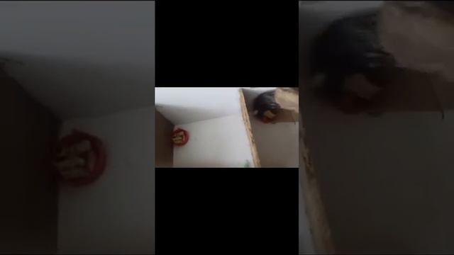 Будь такой какой ты есть смотреть онлайн