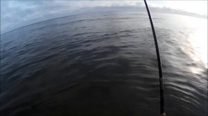 Рыбалка в Калининграде //// Ловля саргана в  Балтийском море. part #1  ////KÖNIGFISHING