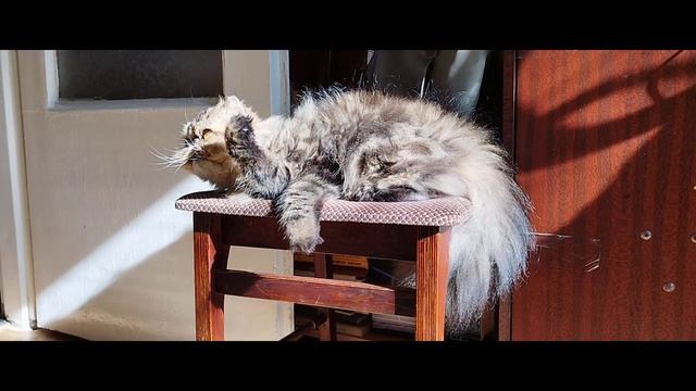 На ярком солнышке смотреть онлайн