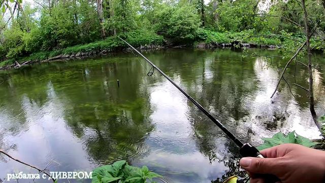 Малые реки России, река Лопасня. В поисках хищника. Щука. фильмы ДИВЕРА