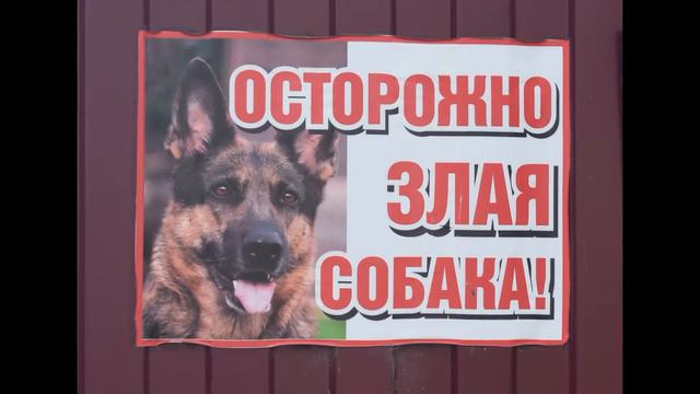Ростов Великий Прогулка часть 16 фото смотреть онлайн