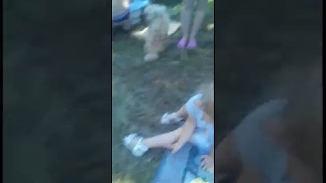 VLOG: Ночёвка на речке.День 2 смотреть онлайн